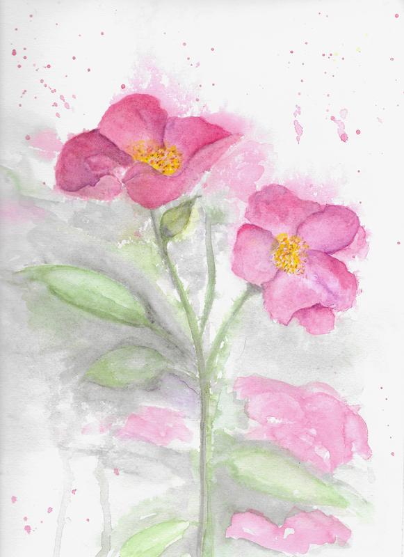 Wild Roses